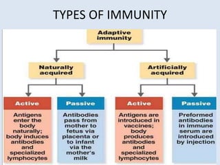 TYPES OF IMMUNITY
 