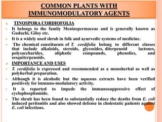 COMMON PLANTS WITH
IMMUNOMODULATORY AGENTS
1. TINOSPORA CORDIOFOLIA
 It belongs to the family Meninspermaceae and is generally known as
Guduchi, Giloy etc.
 It is a widely used shrub in folk and ayurvedic systems of medicine.
 The chemical constituents of T. cordifolia belong to different classes
that include alkaloids, steroids, glycosides, diterpenoid lactones,
polysaccharides, aliphatic compounds, phenolics, and
sesquiterpenoids.
 IMPORTANCE AND USES
 T. cordifolia is expressed and recommended as a monoherbal as well as
polyherbal preparation.
 Although it is alcoholic but the aqueous extracts have been verified
positively for immuno-modulatory activity.
 It is reported to impede the immunosuppressive effect of
cyclophosphamide.
 The shrub has been found to substantially reduce the deaths from E. coli
induced peritonitis and also showed defense in cholestatic patients against
E. coli infections.

 