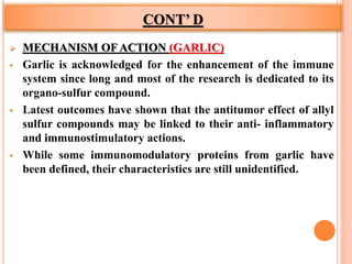 CONT’ D
 MECHANISM OF ACTION (GARLIC)
 Garlic is acknowledged for the enhancement of the immune
system since long and most of the research is dedicated to its
organo-sulfur compound.
 Latest outcomes have shown that the antitumor effect of allyl
sulfur compounds may be linked to their anti- inflammatory
and immunostimulatory actions.
 While some immunomodulatory proteins from garlic have
been defined, their characteristics are still unidentified.
 