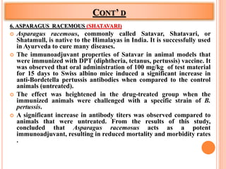 CONT’ D
6. ASPARAGUS RACEMOUS (SHATAVARI)
 Asparagus racemous, commonly called Satavar, Shatavari, or
Shatamull, is native to the Himalayas in India. It is successfully used
in Ayurveda to cure many diseases.
 The immunoadjuvant properties of Satavar in animal models that
were immunized with DPT (diphtheria, tetanus, pertussis) vaccine. It
was observed that oral administration of 100 mg/kg of test material
for 15 days to Swiss albino mice induced a significant increase in
anti-Bordetella pertussis antibodies when compared to the control
animals (untreated).
 The effect was heightened in the drug-treated group when the
immunized animals were challenged with a specific strain of B.
pertussis.
 A significant increase in antibody titers was observed compared to
animals that were untreated. From the results of this study,
concluded that Asparagus racemosus acts as a potent
immunoadjuvant, resulting in reduced mortality and morbidity rates
.
 