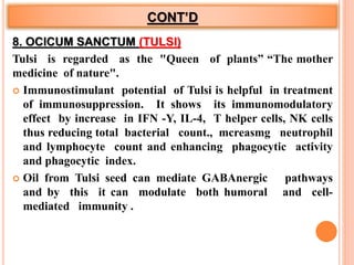 CONT’D
8. OCICUM SANCTUM (TULSI)
Tulsi is regarded as the "Queen of plants” “The mother
medicine of nature".
 Immunostimulant potential of Tulsi is helpful in treatment
of immunosuppression. It shows its immunomodulatory
effect by increase in IFN -Y, IL-4, T helper cells, NK cells
thus reducing total bacterial count., mcreasmg neutrophil
and lymphocyte count and enhancing phagocytic activity
and phagocytic index.
 Oil from Tulsi seed can mediate GABAnergic pathways
and by this it can modulate both humoral and cell-
mediated immunity .
 