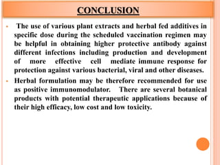 CONCLUSION
 The use of various plant extracts and herbal fed additives in
specific dose during the scheduled vaccination regimen may
be helpful in obtaining higher protective antibody against
different infections including production and development
of more effective cell mediate immune response for
protection against various bacterial, viral and other diseases.
 Herbal formulation may be therefore recommended for use
as positive immunomodulator. There are several botanical
products with potential therapeutic applications because of
their high efficacy, low cost and low toxicity.
 