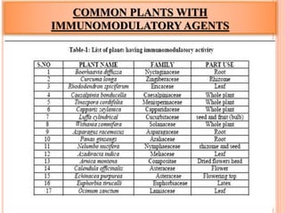 COMMON PLANTS WITH
IMMUNOMODULATORY AGENTS
 