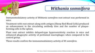 Immunomodulatory activity of Withania somnifera root extract was performed in
mice.
Treatment with root extract along with antigen (Sheep Red Blood Cells) produced
an enhancement in the circulating antibody titre and the number of plaque-
forming cells in the spleen.
Plant root extract inhibits delayed-type hypersensitivity reaction in mice and
enhanced phagocytic activity of peritoneal macrophages when compared to the
control group.
These results confirm the immunomodulatory activity of W. somnifera.
10
Withania somnifera
Ref.: Davis L, Kuttan G. Immunomodulatory activity of Withania somnifera. J Ethanopharmacol., 2000, 71(1-2), 193-200.
 