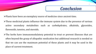 Plants have been an exemplary source of medicine since ancient time.
These medicinal plants influence the immune system due to the presence of various
active secondary metabolites such as carbohydrates, alkaloids, glycosides,
flavonoids, tannins, and steroids.
The herbs have immunomodulatory potential to treat or prevent illnesses that are
often beyond the grasp of allopathic medication but additional research is needed so
that we can use the maximum potential of these plants and it may be used in the
place of current treatment.
13
Conclusion
 