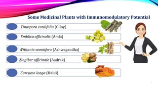 7
Some Medicinal Plants with Immunomodulatory Potential
Tinospora cardifolia (Giloy)
Emblica officinalis (Amla)
Withania somnifera (Ashwagandha)
Zingiber officinale (Aadrak)
Curcuma longa (Haldi)
 