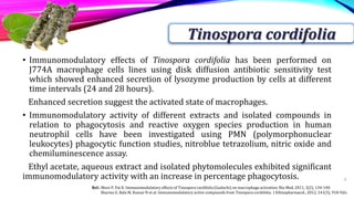• Immunomodulatory effects of Tinospora cordifolia has been performed on
J774A macrophage cells lines using disk diffusion antibiotic sensitivity test
which showed enhanced secretion of lysozyme production by cells at different
time intervals (24 and 28 hours).
Enhanced secretion suggest the activated state of macrophages.
• Immunomodulatory activity of different extracts and isolated compounds in
relation to phagocytosis and reactive oxygen species production in human
neutrophil cells have been investigated using PMN (polymorphonuclear
leukocytes) phagocytic function studies, nitroblue tetrazolium, nitric oxide and
chemiluminescence assay.
Ethyl acetate, aqueous extract and isolated phytomolecules exhibited significant
immunomodulatory activity with an increase in percentage phagocytosis. 8
Tinospora cordifolia
Ref.: More P, Pai K. Immunomodulatory effects of Tinospora cardifolia (Guduchi) on macrophage activation. Bio Med, 2011, 3(2), 134-140.
Sharma U, Bala M, Kumar N et al. Immunomodulatory active compounds from Tinospora cordifolia. J Ethnopharmacol., 2012, 141(3), 918-926.
 