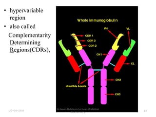 Immunology | PDF