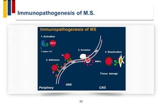 Immunopathogenesis of multiple sclerosis | PDF