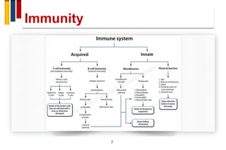 Immunopathogenesis of multiple sclerosis | PDF