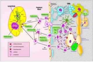 Immunopathogenesis of multiple sclerosis | PDF