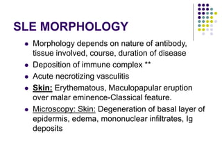 SLE MORPHOLOGY
 Morphology depends on nature of antibody,
tissue involved, course, duration of disease
 Deposition of immune complex **
 Acute necrotizing vasculitis
 Skin: Erythematous, Maculopapular eruption
over malar eminence-Classical feature.
 Microscopy: Skin: Degeneration of basal layer of
epidermis, edema, mononuclear infiltrates, Ig
deposits
 