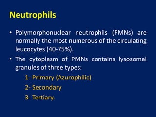 Immunopathology | PPTX
