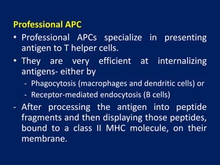 Example Apc Doctor Immunopathology | PPTX