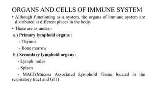 ORGANS AND CELLS OF IMMUNE SYSTEM
• Although functioning as a system, the organs of immune system are
distributed at different places in the body.
• These are as under:-
a.) Primary lymphoid organs :
- Thymus
- Bone marrow
b.) Secondary lymphoid organs :
- Lymph nodes
- Spleen
- MALT(Mucosa Associated Lymphoid Tissue located in the
respiratory tract and GIT)
 