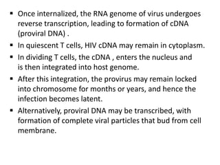  Once internalized, the RNA genome of virus undergoes
  reverse transcription, leading to formation of cDNA
  (proviral DNA) .
 In quiescent T cells, HIV cDNA may remain in cytoplasm.
 In dividing T cells, the cDNA , enters the nucleus and
  is then integrated into host genome.
 After this integration, the provirus may remain locked
  into chromosome for months or years, and hence the
  infection becomes latent.
 Alternatively, proviral DNA may be transcribed, with
  formation of complete viral particles that bud from cell
  membrane.
 