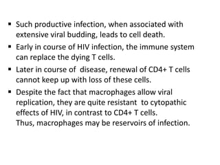  Such productive infection, when associated with
  extensive viral budding, leads to cell death.
 Early in course of HIV infection, the immune system
  can replace the dying T cells.
 Later in course of disease, renewal of CD4+ T cells
  cannot keep up with loss of these cells.
 Despite the fact that macrophages allow viral
  replication, they are quite resistant to cytopathic
  effects of HIV, in contrast to CD4+ T cells.
  Thus, macrophages may be reservoirs of infection.
 
