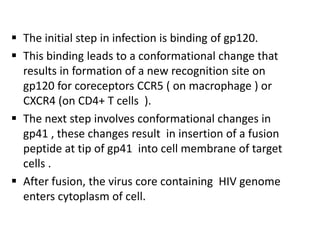  The initial step in infection is binding of gp120.
 This binding leads to a conformational change that
  results in formation of a new recognition site on
  gp120 for coreceptors CCR5 ( on macrophage ) or
  CXCR4 (on CD4+ T cells ).
 The next step involves conformational changes in
  gp41 , these changes result in insertion of a fusion
  peptide at tip of gp41 into cell membrane of target
  cells .
 After fusion, the virus core containing HIV genome
  enters cytoplasm of cell.
 