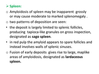  Spleen:
o Amyloidosis of spleen may be inapparent grossly
  or may cause moderate to marked splenomegaly .
o two patterns of deposition are seen:
• the deposit is largely limited to splenic follicles,
  producing tapioca-like granules on gross inspection,
  designated as sago spleen.
• in red pulp the amyloid appears to spare follicles and
  instead involves walls of splenic sinuses.
o Fusion of early deposits gives rise to large, maplike
  areas of amyloidosis, designated as lardaceous
  spleen.
 