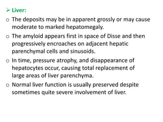  Liver:
o The deposits may be in apparent grossly or may cause
  moderate to marked hepatomegaly.
o The amyloid appears first in space of Disse and then
  progressively encroaches on adjacent hepatic
  parenchymal cells and sinusoids.
o In time, pressure atrophy, and disappearance of
  hepatocytes occur, causing total replacement of
  large areas of liver parenchyma.
o Normal liver function is usually preserved despite
  sometimes quite severe involvement of liver.
 