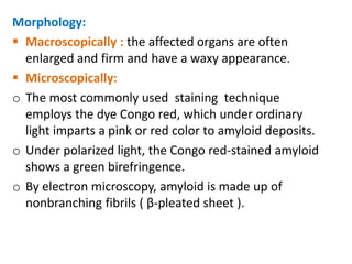 Morphology:
 Macroscopically : the affected organs are often
  enlarged and firm and have a waxy appearance.
 Microscopically:
o The most commonly used staining technique
  employs the dye Congo red, which under ordinary
  light imparts a pink or red color to amyloid deposits.
o Under polarized light, the Congo red-stained amyloid
  shows a green birefringence.
o By electron microscopy, amyloid is made up of
  nonbranching fibrils ( β-pleated sheet ).
 