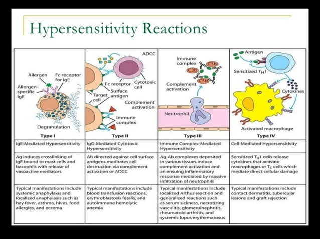 Fa1zanS : Immunopathology, Hypersensitivity reaction, Autoimmune ...