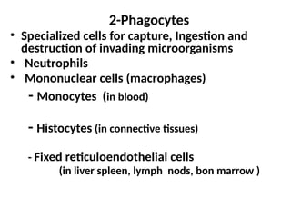 2-Phagocytes
• Specialized cells for capture, Ingestion and
destruction of invading microorganisms
• Neutrophils
• Mononuclear cells (macrophages)
- Monocytes (in blood)
- Histocytes (in connective tissues)
- Fixed reticuloendothelial cells
(in liver spleen, lymph nods, bon marrow )
 