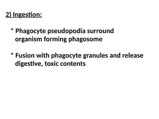2) Ingestion:
* Phagocyte pseudopodia surround
organism forming phagosome
* Fusion with phagocyte granules and release
digestive, toxic contents
 