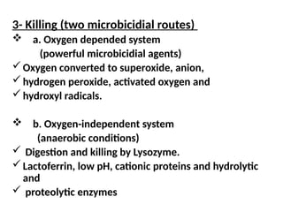 3- Killing (two microbicidial routes)
 a. Oxygen depended system
(powerful microbicidial agents)
Oxygen converted to superoxide, anion,
hydrogen peroxide, activated oxygen and
hydroxyl radicals.
 b. Oxygen-independent system
(anaerobic conditions)
 Digestion and killing by Lysozyme.
Lactoferrin, low pH, cationic proteins and hydrolytic
and
 proteolytic enzymes
 