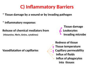 * Tissue damage by a wound or by invading pathogen
* Inflammatory response:
Tissue damage
Release of chemical mediators from Leukocytes
(Histamine, fibrin, kinins, cytokines) Invading microbe
Redness of tissue
Tissue temperature
Vasodilatation of capillaries Capillary permeability
Influx of fluids
Influx of phagocytes
into tissues
C) Inflammatory Barriers
 