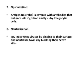 2. Opsonization:
• Antigen (microbe) is covered with antibodies that
enhances its ingestion and lysis by Phagocytic
cells.
3. Neutralization:
• IgG inactivates viruses by binding to their surface
and neutralize toxins by blocking their active
sites.
 