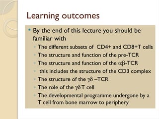 immunopathology T Cell Development in Thymus.pptx