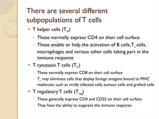 immunopathology T Cell Development in Thymus.pptx
