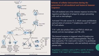 Immunopharmacology and Immunostimulation.pdf