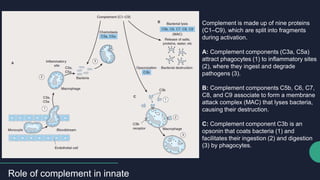 Immunopharmacology and Immunostimulation.pdf