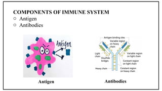 Immunopharmacology: Understanding the Interface of Immune System and ...
