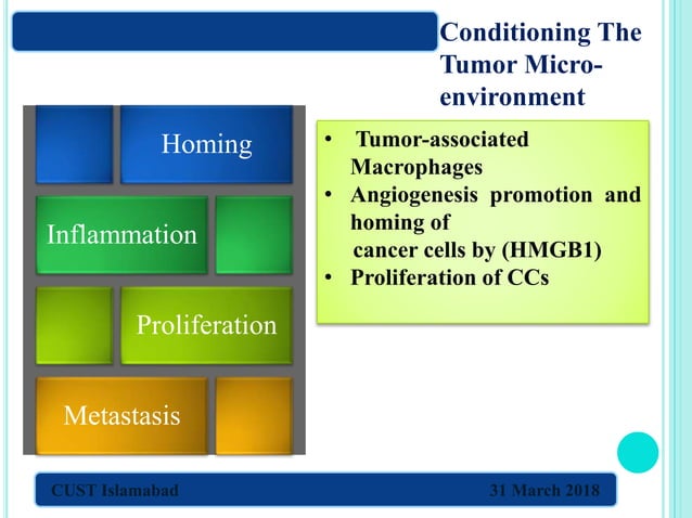 immuno-ppt-porject-copy