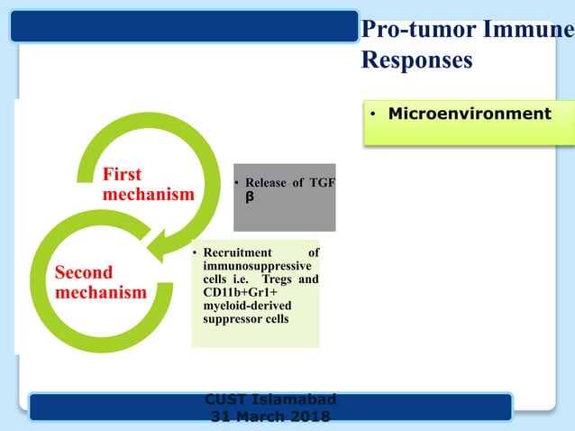 immuno-ppt-porject-copy