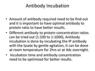 Antibody Incubation
• Amount of antibody required need to be find out
and it is important to have optimal antibody to
protein ratio to have better results.
• Different antibody to protein concentration ratios
can be tried out (1:100 to 1:1000), Antibody
incubation is done by incubating the IP antibody
with the lysate by gentle agitation, it can be done
at room temperature for 2hrs or at 4dc overnight.
• Incubation time and antibody concentration
need to be optimized for better results.
 