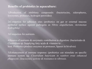 Benefits of probiotics in aquaculture:
1)Production of inhibitory compounds: (bacteriocins, sideropheres,
lysozymes, proteases, hydrogen peroxides)
2)Competion for adhesion sites (probiotics on gut or external mucous
epithelial surface against pathogens as Vibrio anguillarium, Aeromonas
hydrophila)
3)Competion for nutrients.
4)Source of nutrients & enzymatic contribution to digestion: (bacteriodes &
Clostridium sp. Supplying fatty acids & vitamins to
host. Probiotics produce enzymes as proteases, lipases in bivalves)
5)Enhancement of immune response: (probiotics can stimulate on specific
immune system eg: Clostridium butyricum in rainbow trout enhanced
phagocytic {leucocytes} activity & resistance to vibriosis.
 