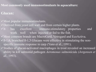 Most commonly used immunostimulants in aquaculture:
Glucan:
Most popular immunostimulants.
Derived from yeast cell wall and from certain higher plants.
It has excellent immuno-stimulatory properties and
work well when injected or fed to the fish.
Most common brands are MacroGard, Vetregard and EcoActiva.
ß-1,6, branched ß-1,3 Glucans were effective in stimulating the non-
specific immune response in carp (Yano et al., 1991).
Studies of glucan-activated macrophages in trout revealed an increased
ability to kill salmonid pathogen Aeromonas salmonicida (Jorgensen et
al., 1993).
 