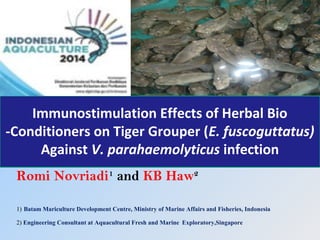 Romi Novriadi1
and KB Haw2
1) Batam Mariculture Development Centre, Ministry of Marine Affairs and Fisheries, Indonesia
2) Engineering Consultant at Aquacultural Fresh and Marine Exploratory,Singapore
Immunostimulation Effects of Herbal Bio
-Conditioners on Tiger Grouper (E. fuscoguttatus)
Against V. parahaemolyticus infection
 