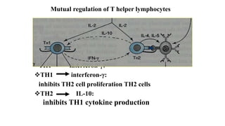 Th1 Function IMMUNOSUPPRESSANT DRUGS.pptx