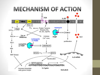 General Immune System Modulators Immunomodulators | PPTX