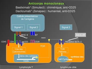 Anticorps monoclonaux
Basliximabϒ
(Simulect) : chimérique, anti-CD25
Daclizumabϒ
(Zenapax) : humanisé, anti-CD25
MHC II B7
Antigen Interleukin-2
CD45 CD4 CD3 CD28 Récepteur de l’IL-2
Lymphocyte T lymphocyte cible
Cellule présentatrice
de l’antigène
Signal 1 Signal 2
TCR
Voie des
Calcineurines
Gène des cytokines
noyau
synthèse des
purines
Signal 3
TOR
Pathway
Cell Cycle
Anti-IL-2R
 