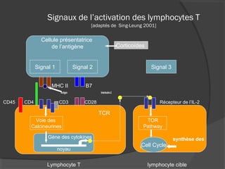 Signaux de l’activation des lymphocytes T
[adaptés de Sing-Leung 2001]
MHC II B7
Antigen Interleukin-2
CD45 CD4 CD3 CD28 Récepteur de l’IL-2
Lymphocyte T lymphocyte cible
Cellule présentatrice
de l’antigène
Signal 1 Signal 2
TCR
Voie des
Calcineurines
Gène des cytokines
noyau
synthèse des
purines
Signal 3
TOR
Pathway
Cell Cycle
Corticoïdes
 