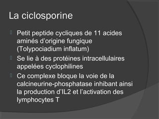 La ciclosporine
 Petit peptide cycliques de 11 acides
aminés d’origine fungique
(Tolypociadium inflatum)
 Se lie à des protéines intracellulaires
appelées cyclophilines
 Ce complexe bloque la voie de la
calcineurine-phosphatase inhibant ainsi
la production d’IL2 et l’activation des
lymphocytes T
 