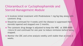 Chlorambucil or Cyclophosphamide and 
Steroid Management Module 
 It involves initial treatment with Prednisolone 1 mg/kg/day along with 
cytotoxic drug. 
 Should be continued for 4 weeks until the disease is suppressed then 
steroids tapered and stopped over 2 months. 
 The cytotoxic drug dosage is adjusted to keep the WBC at 3000-4000 
/micro lit and continued for one year to induce remission before being 
stopped. 
 Monitor the CBC and urine analysis weekly until stable than at every 2 
weeks. 
 