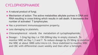 CYCLOPHOSPHAMIDE 
 A natural product of fungi. 
 Mechanism of action: The active metabolites alkylate purines in DNA and 
RNA resulting in cross linking which results in cell death. It decreases the 
number of activated T lymphocytes. 
 Has a prominent immunosuppressive property. 
 Less damaging to platelets. 
 Chloramphenicol retards the metabolism of cyclophosphamide. 
 Dosage:- 1-2mg/kg/day i.e 150-200mg/day in empty stomach. To 
monitor WBC on Day 1,3 and 7. To reduce dosage by 25-50mg to stabilize 
the WBC at about 3000 cells/micro Lit. Once stabilized to monitor WBC 
and CBC with differential count weekly and then after a fortnight. 
 