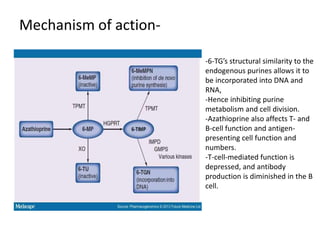 Mechanism of action-
-6-TG’s structural similarity to the
endogenous purines allows it to
be incorporated into DNA and
RNA,
-Hence inhibiting purine
metabolism and cell division.
-Azathioprine also affects T- and
B-cell function and antigen-
presenting cell function and
numbers.
-T-cell-mediated function is
depressed, and antibody
production is diminished in the B
cell.
 